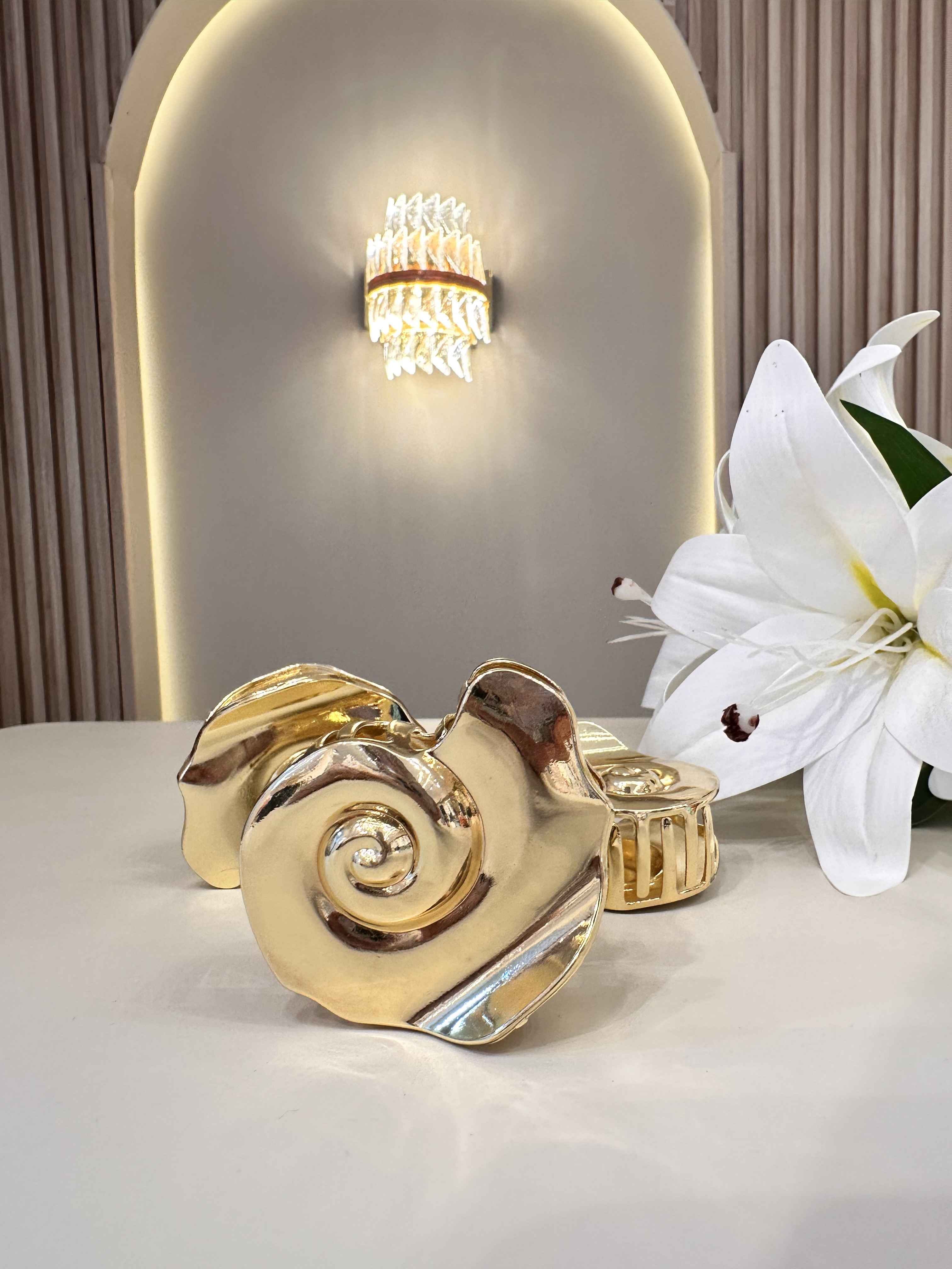 attache dore escargot 