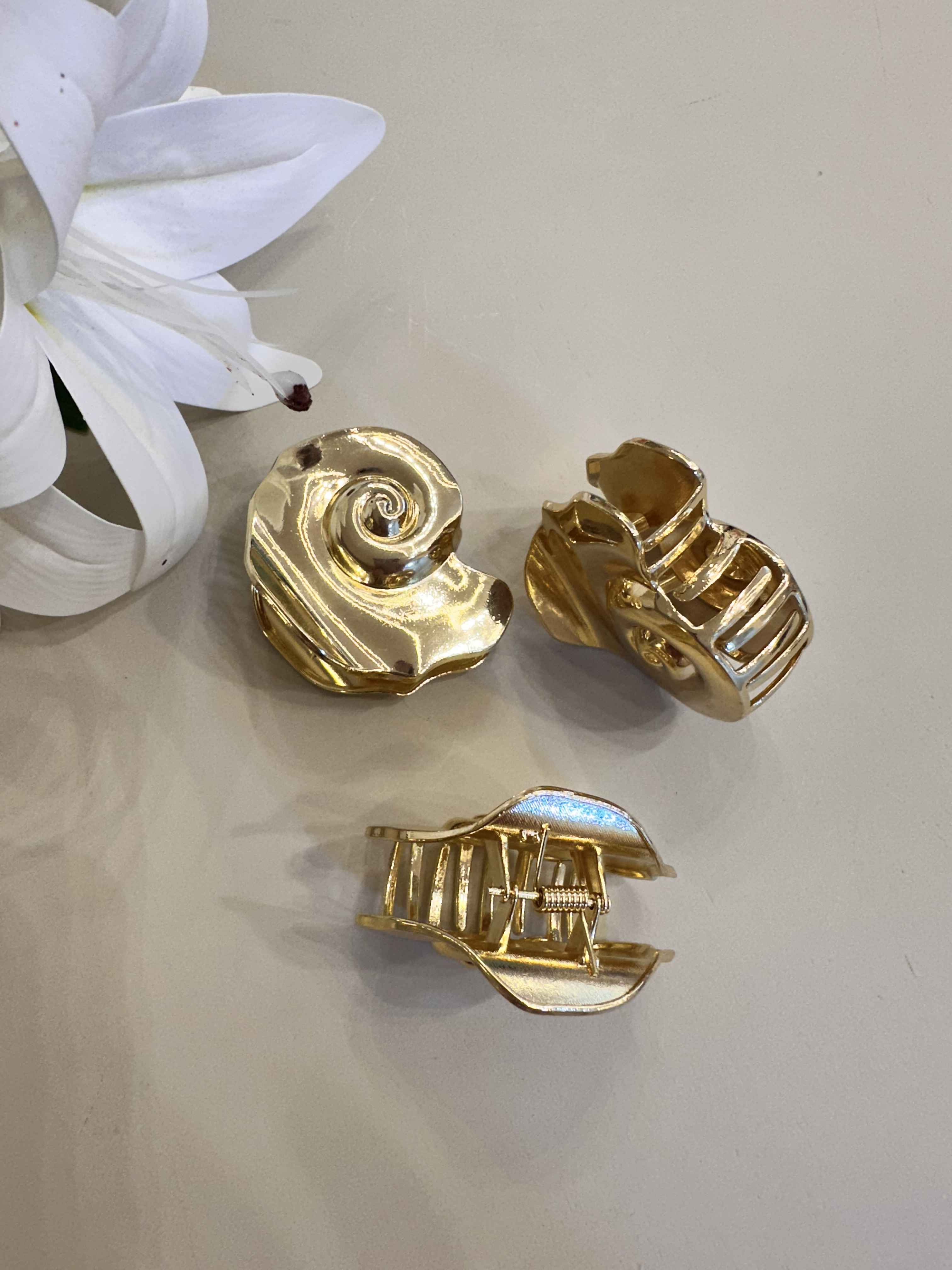 attache dore escargot 