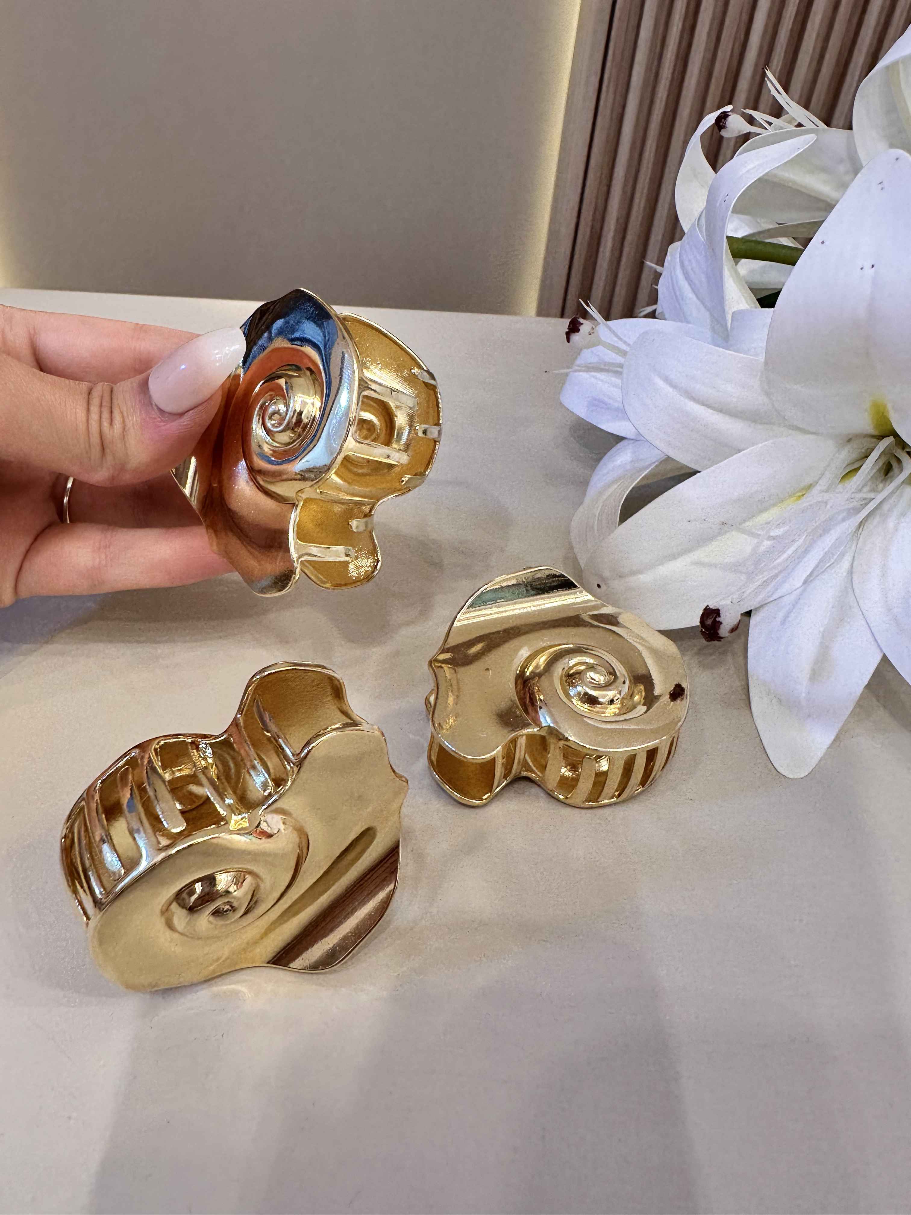 attache dore escargot 