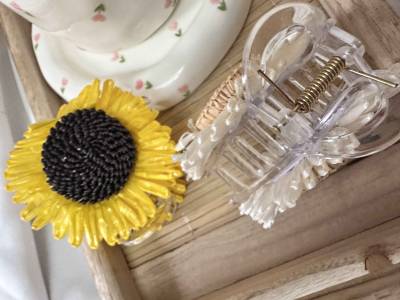 Attache sunflower